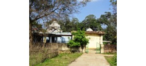 கீழ சூரியமூலை